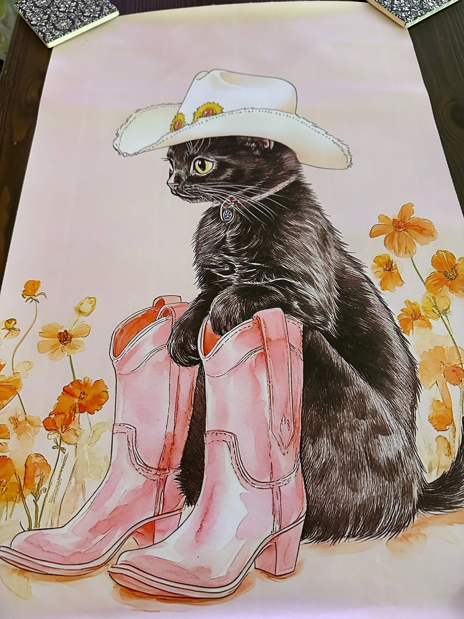 Kitten With Pink Boots 16x24