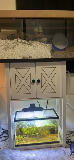 Desk,tanks & extras (needed gone asap)
