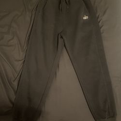 Alo Sweats