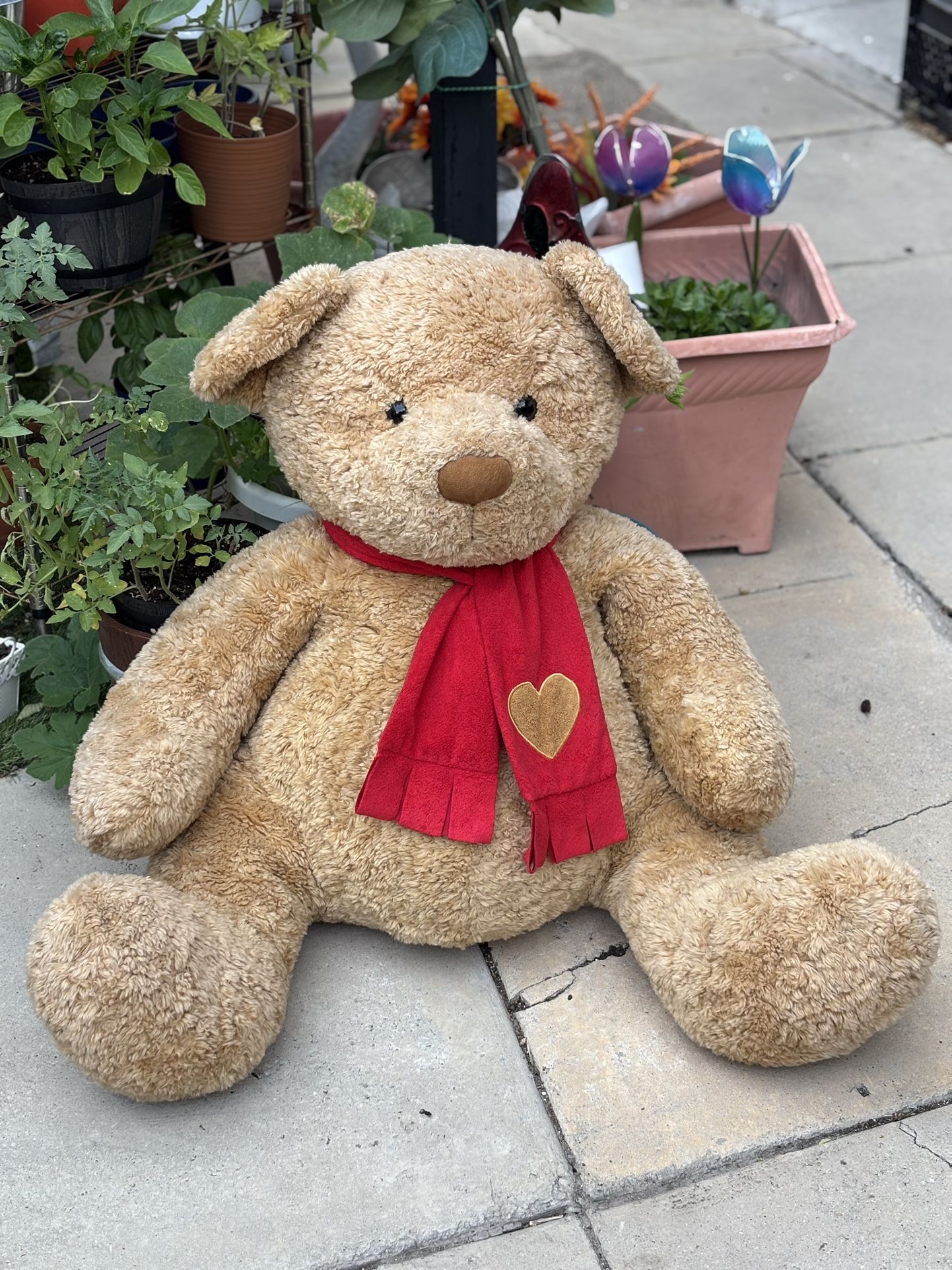 Soft Teddy Bear