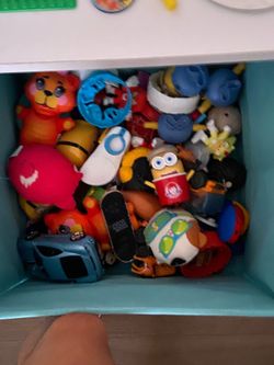 Assorted Toy Collection