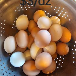 Fresh Eggs / Huevo Fresco Del Dia