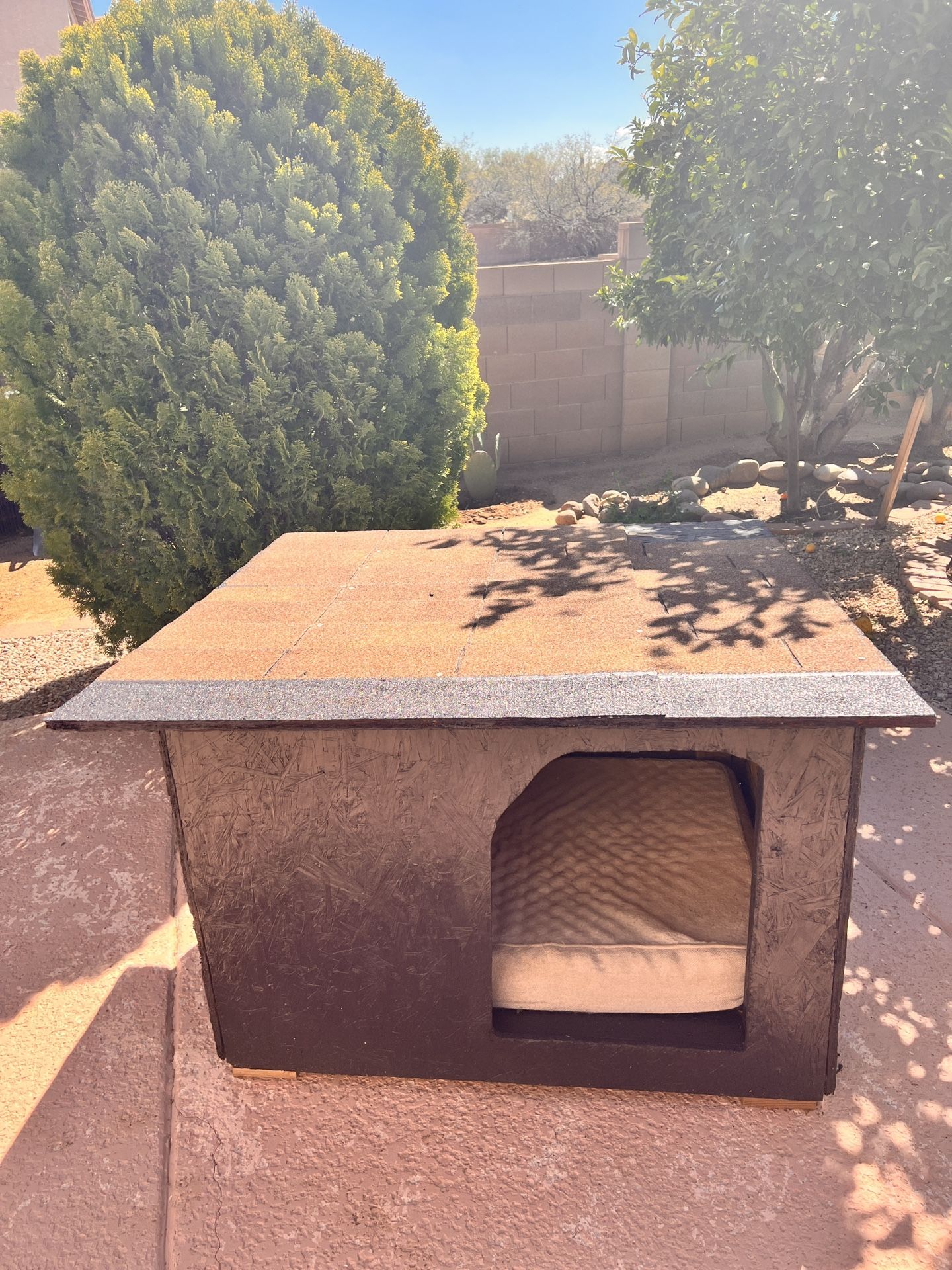 Dog House