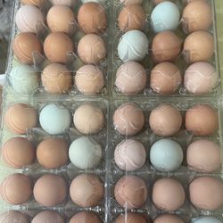 Farm Fresh Eggs For Sale,  We Have Eggs Again