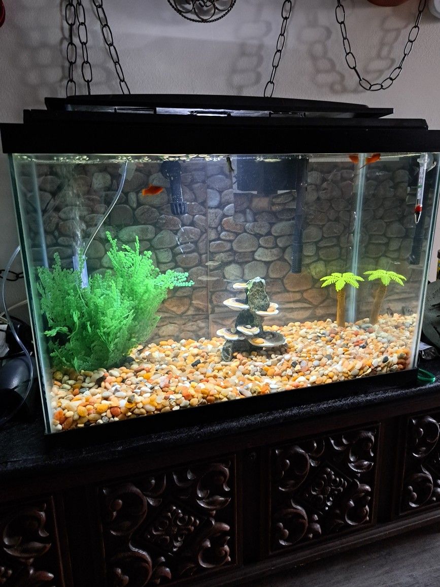 30 Gallon Tank