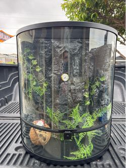 Reptile cage