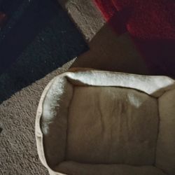 Cat Bed