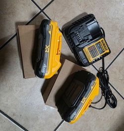 Dewalt 20v 2 4amp power pack kit