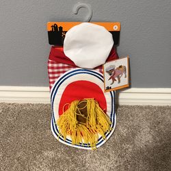 Dog Halloween costume 