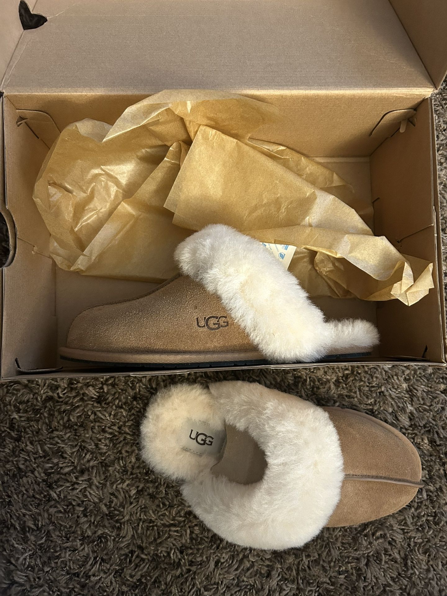 Brand New Uggs