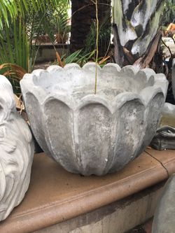 Pot