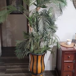 Nice Plant Decor