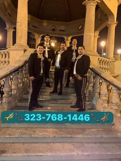 Vihuela violín mariachi