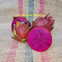 Rare Dragon Fruit Cuttings