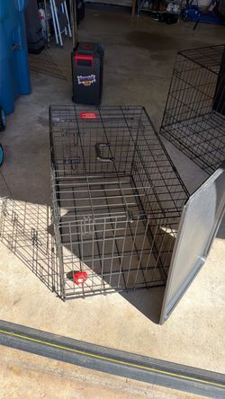 Dog Kennel
