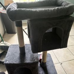 Harley Used Cat Post