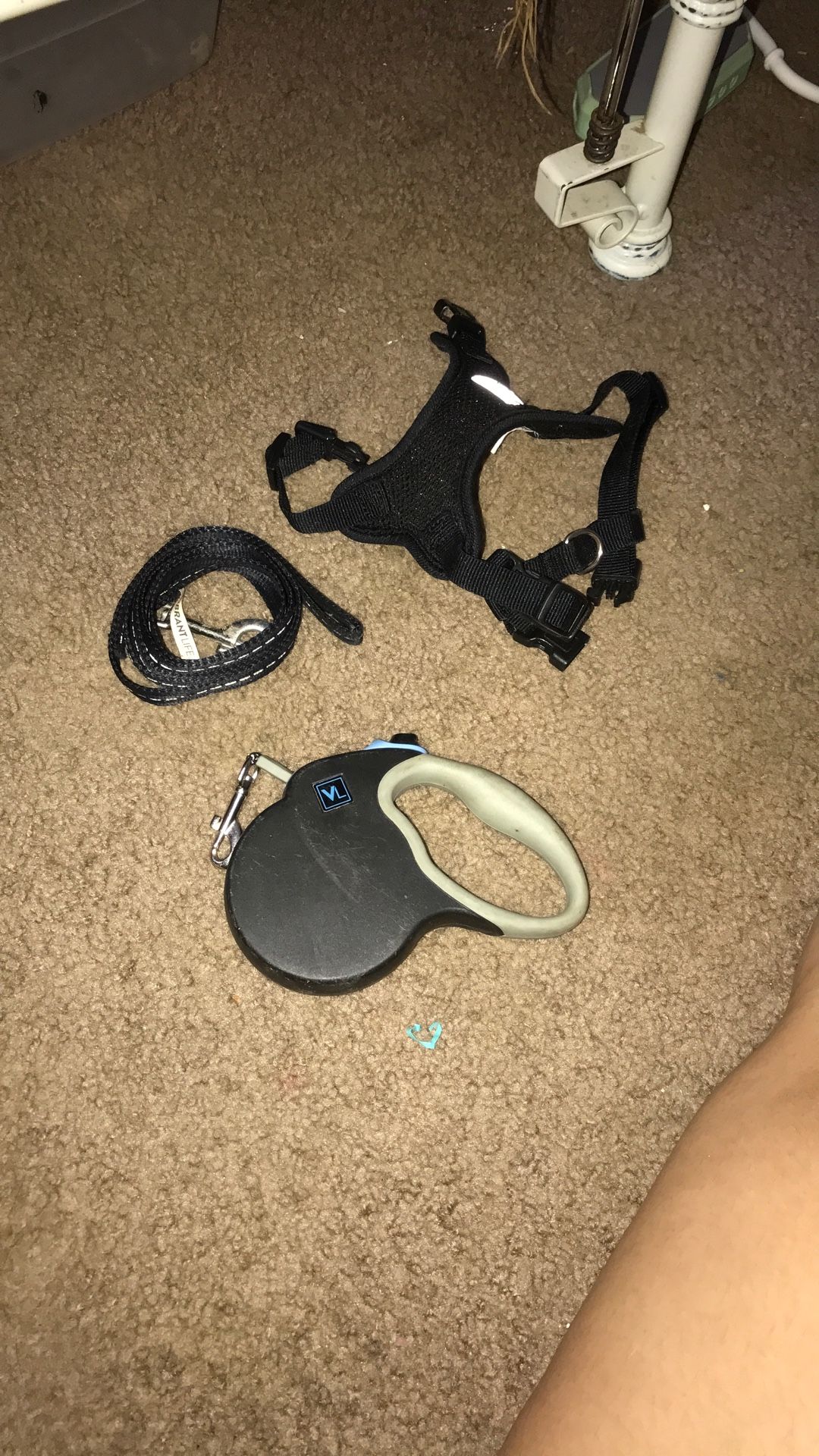 Dog Leash, Harness
