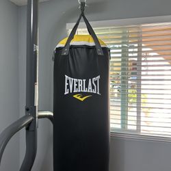 EVERLAST PUNCHING BAG