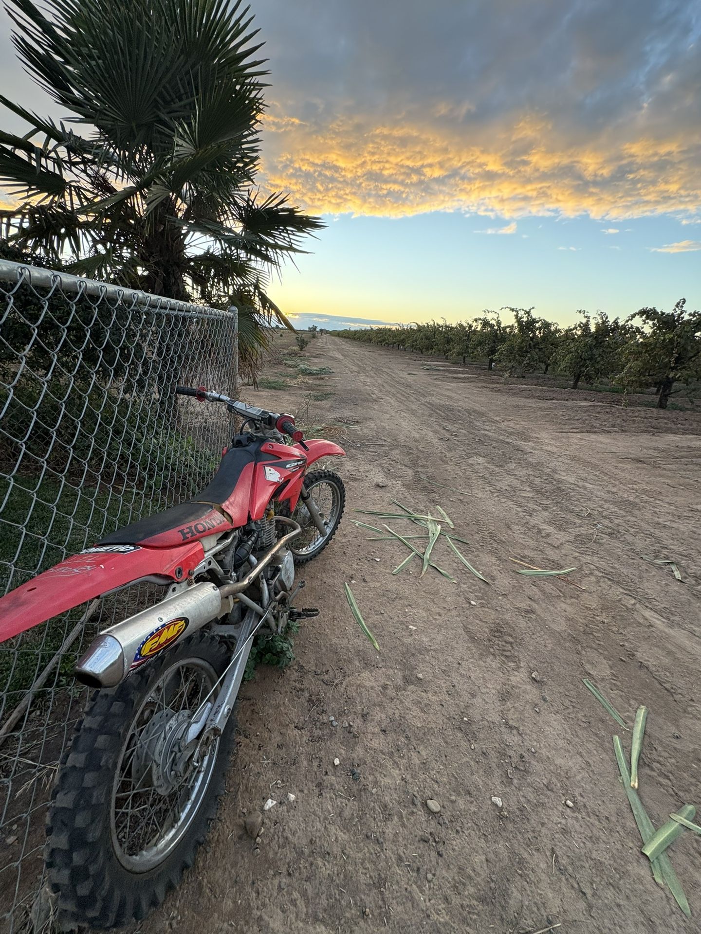 2005 Honda (red/white)