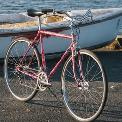Custom Painted Vintage Japanese Steel Bike