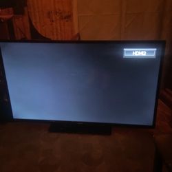 Sanyo 51 Inch Tv
