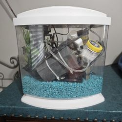3 Gallon Fish Tank