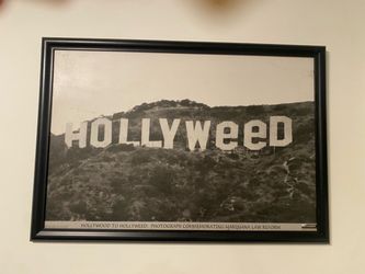 Hollyweed frame