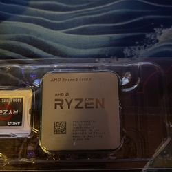 Ryzen 5 5600x 