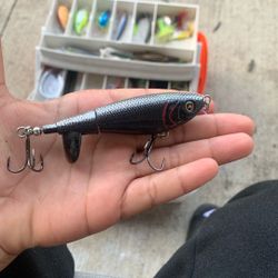 Good night, whopper, whopper for fishing catches bass