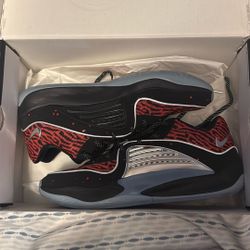 KD 16s Basketball Shoes