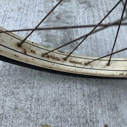 Schwinn 20" W/s2 Center Stamped Fiber Glass Tank.