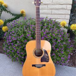 Ibanez AW30 Acoustic Guitar