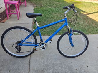 Nishiki Bicycle