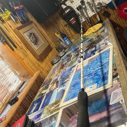 Fishing rod Shimano Terez