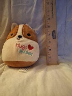 Reginald the corgi