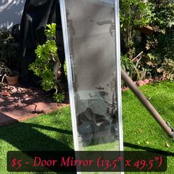 Door Mirror