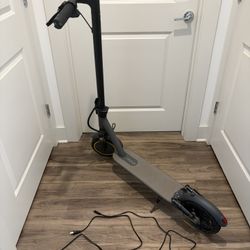 Electric Scooter Foldable