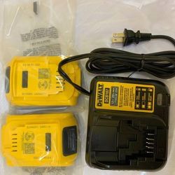 Dewalt 20v battery and charg