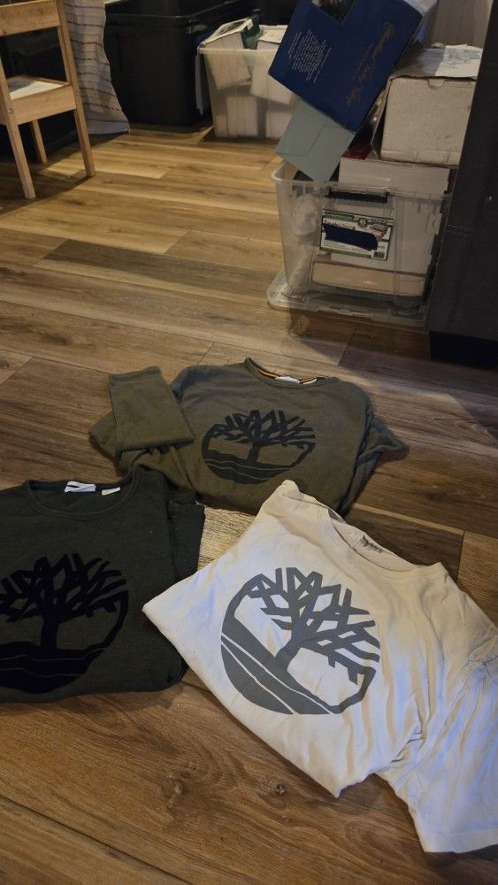 Timberland Shirts - 1 Tshirt & 2 Long Sleeves