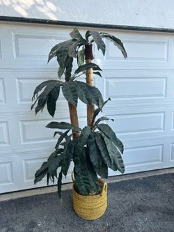 Artificial Palm plant