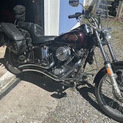 1989 Harley Softail custom