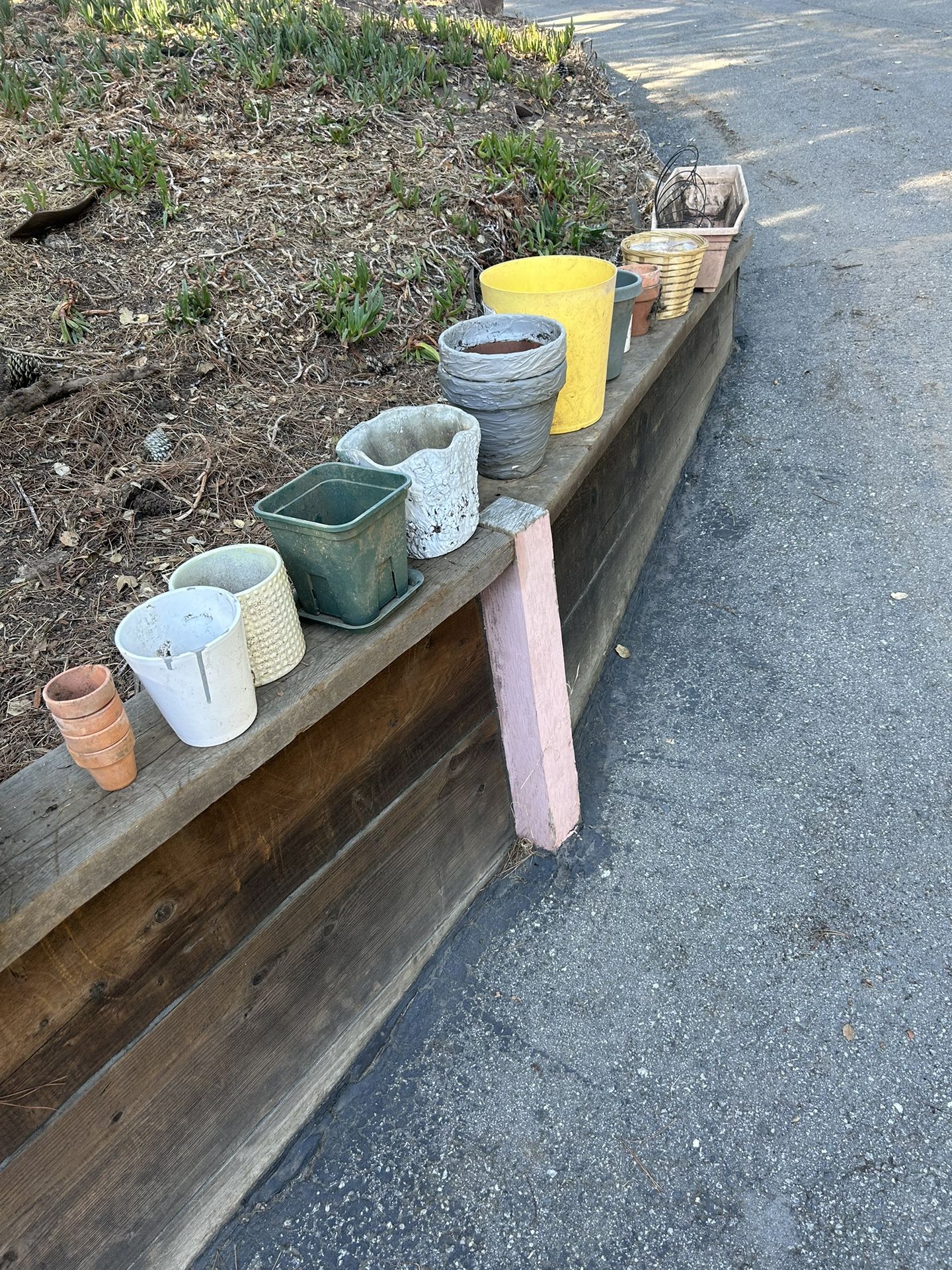 Plant Pots