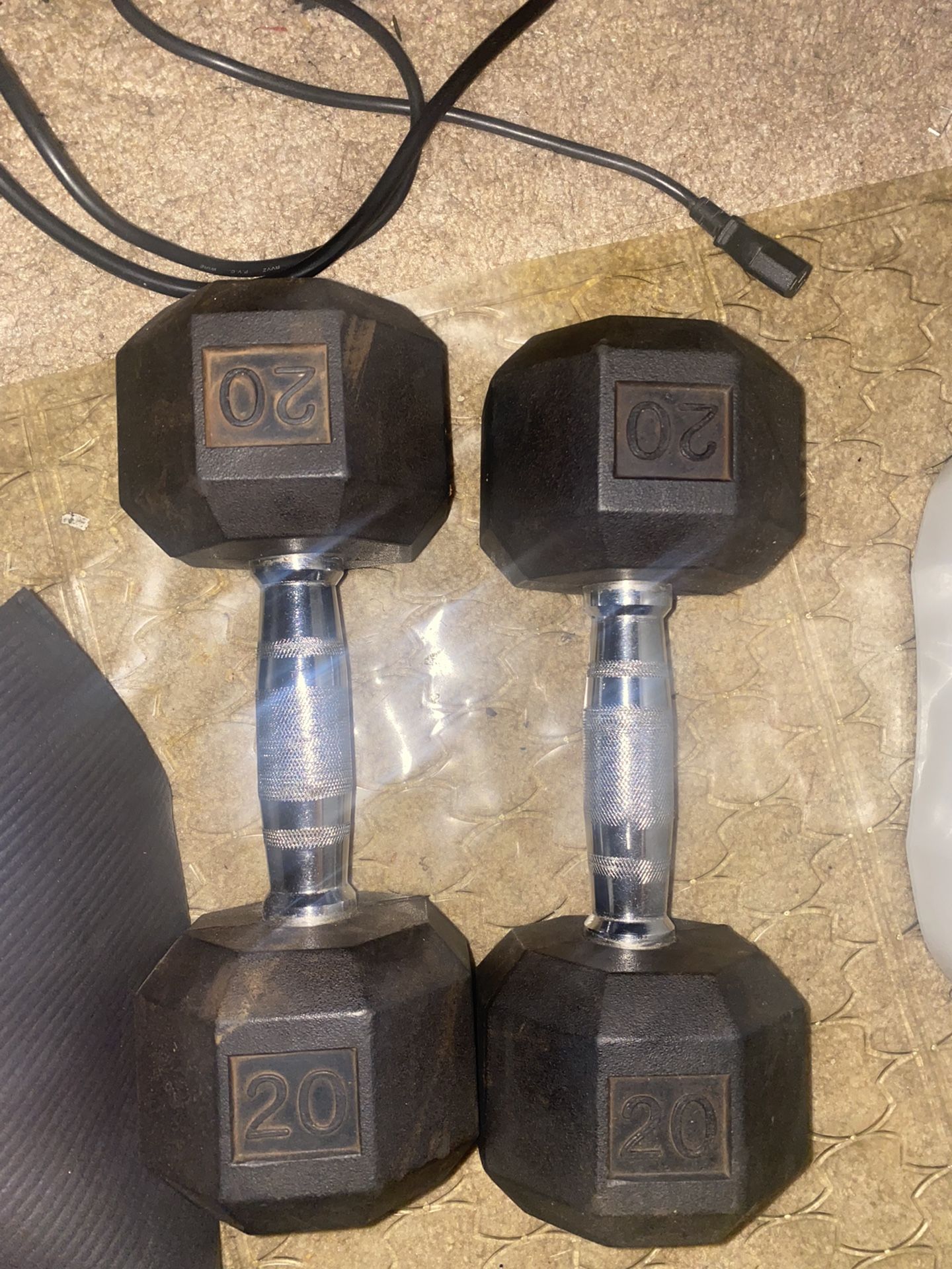 20 Pound Dumbbells 