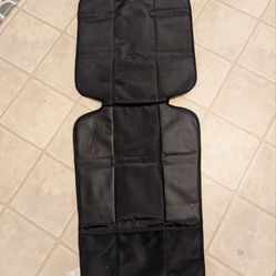 Car seat protector