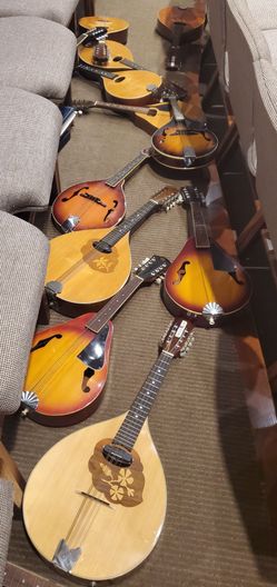 Mandolins