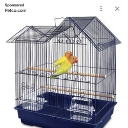 Bird Cage / Jaula 