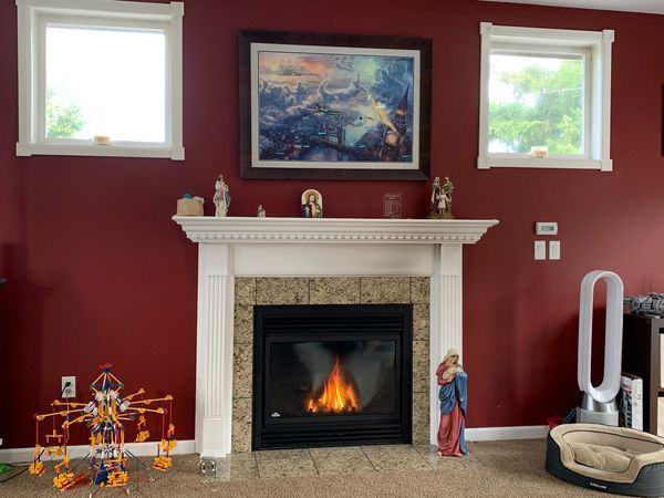 Napoleon Gas Fireplace with Fan 🔥