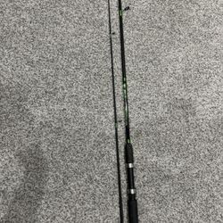 2 piece Worm Gear Fishing Rod