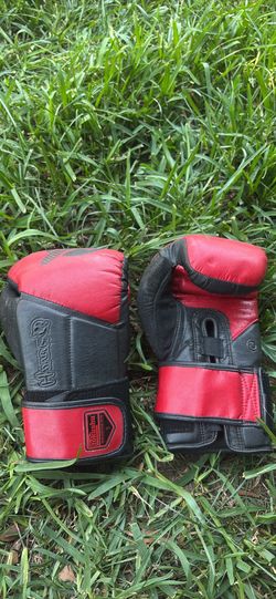 Hayabusa Tokushu Regenesis Boxing Gloves
