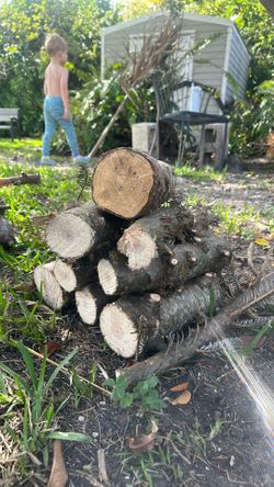 Evergreen Firewood